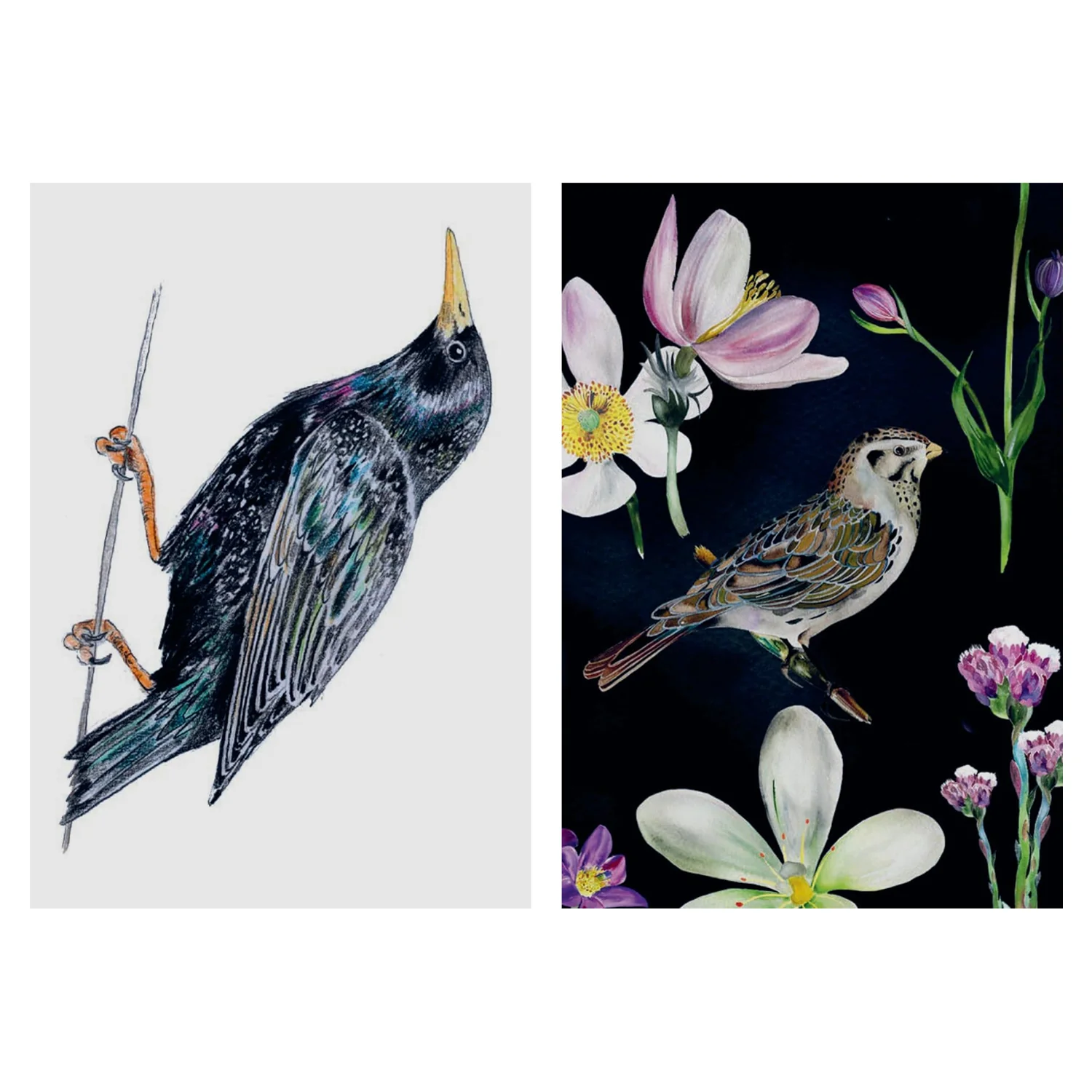 Bird Box: 100 Postcards by 10 Artists - Image 4