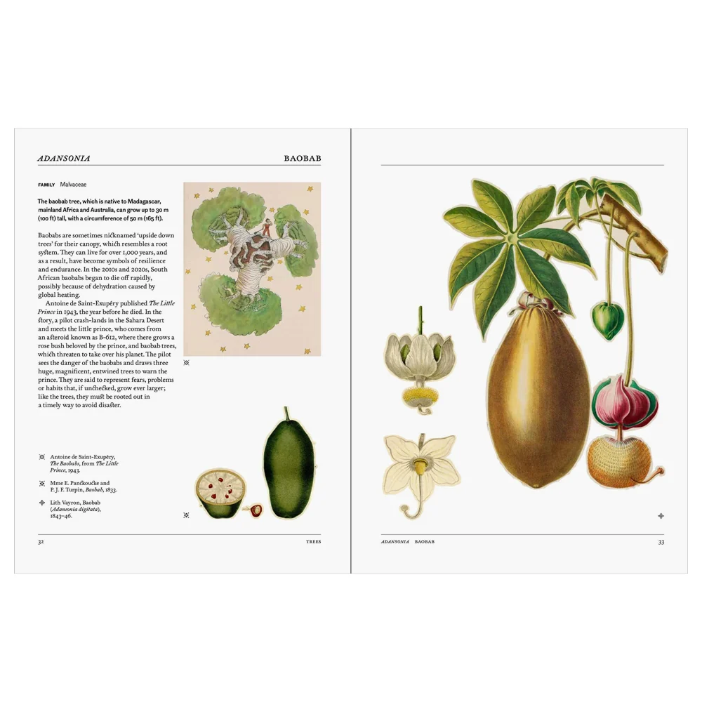 Flora: The Secret Language of Plants in Art - Image 6
