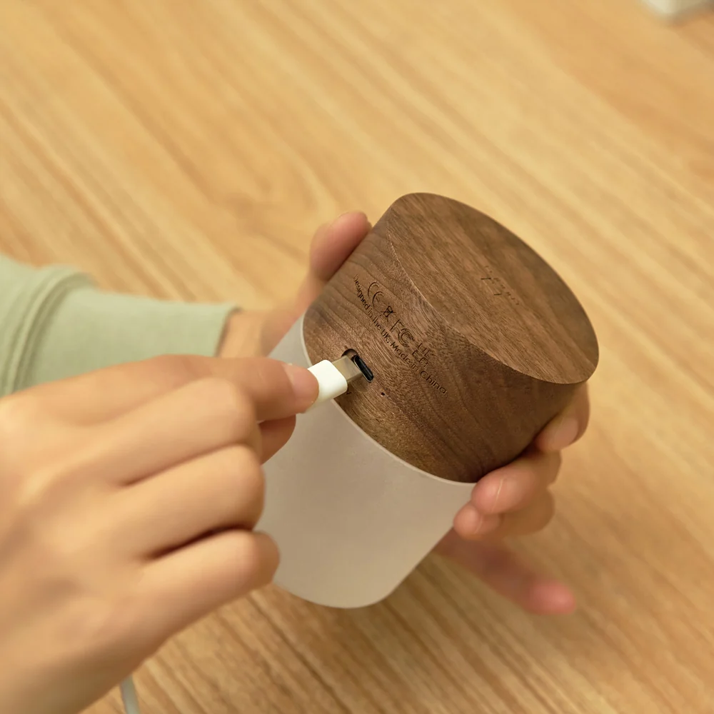 Large Lemelia Light: Walnut - Image 4