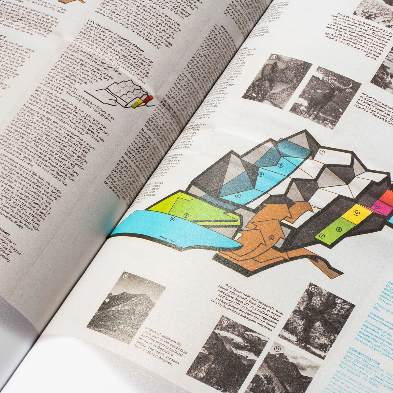 Parks Standards Manual - Image 4