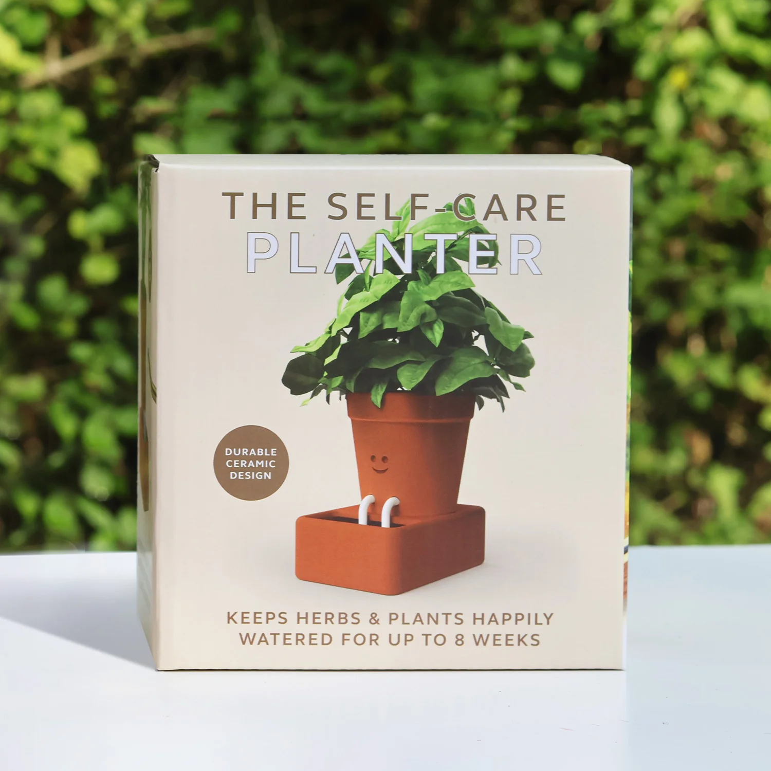 Self-Care Planter - Image 3