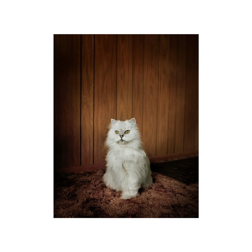 Todd Hido: Intimate Distance Revised and Expanded Edition - Image 8