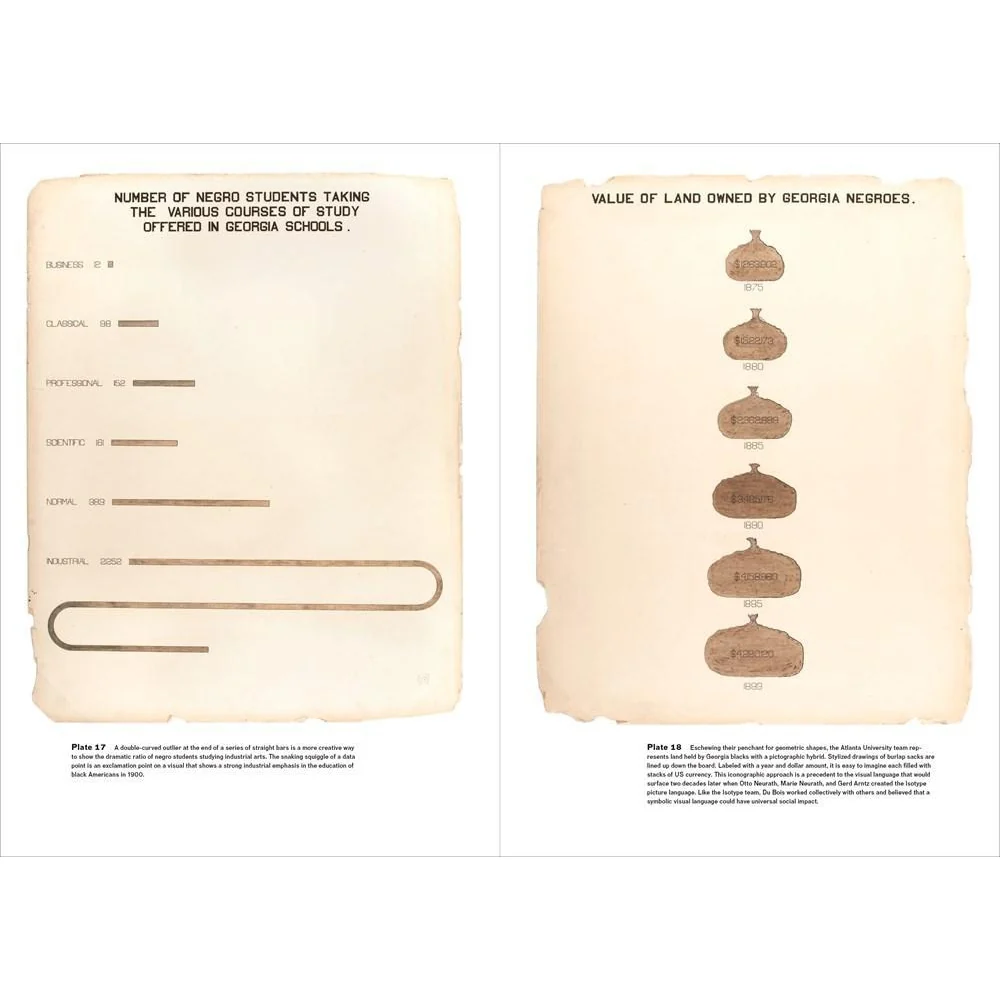 W.E.B. Du Bois Data Portraits: Visualizing Black America - Image 3